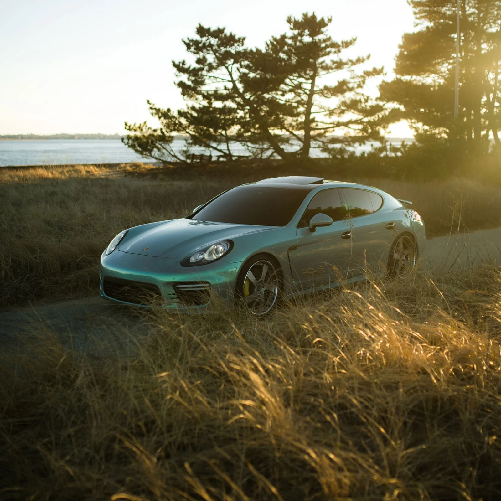Candy Metallic Magic Gray Green Color PPF (Paint Protection Film) - Image 4