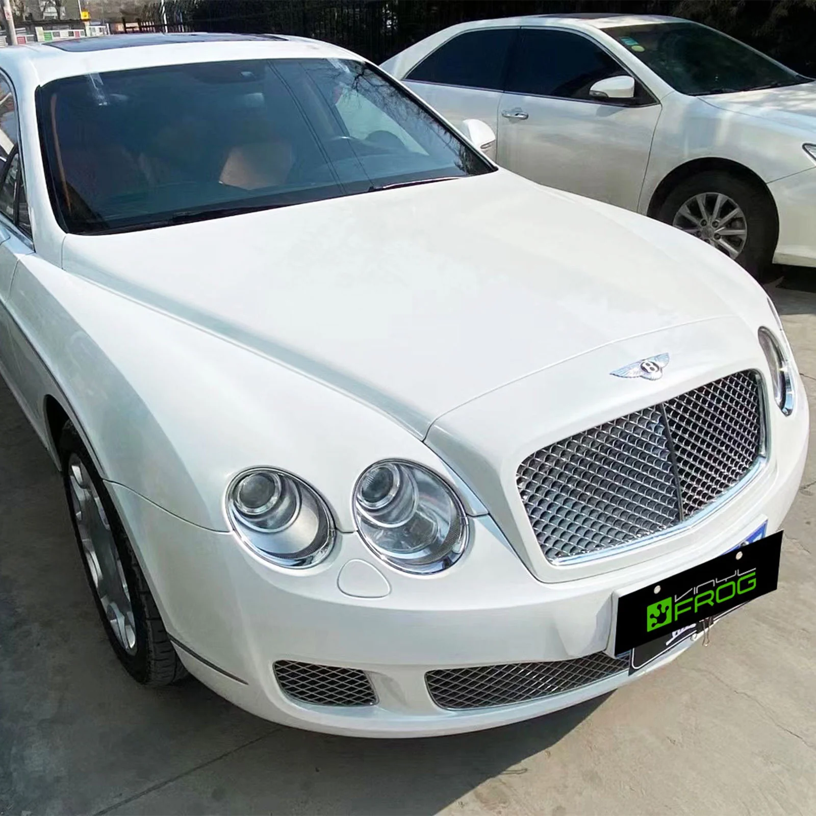 Glossy Pearl White Color PPF (Paint Protection Film) - Image 3